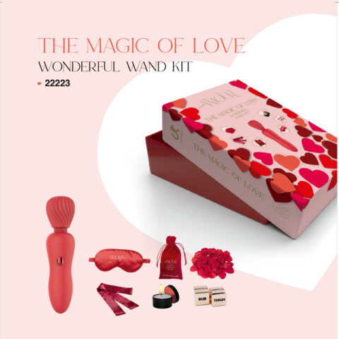 DREAMTOYS WONDERFUL WAND KIT – AMOUR RF: VC32751